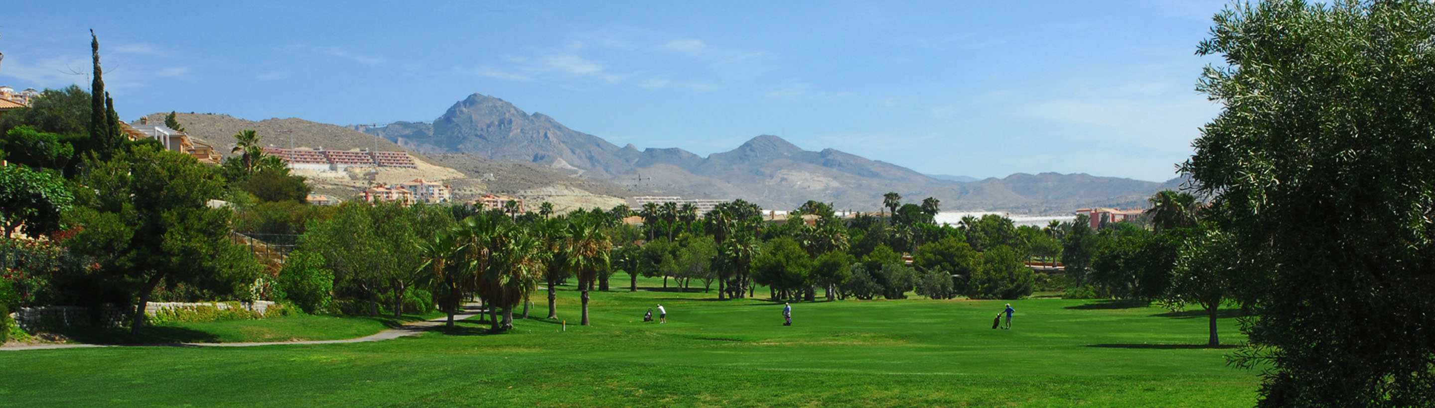 course banner