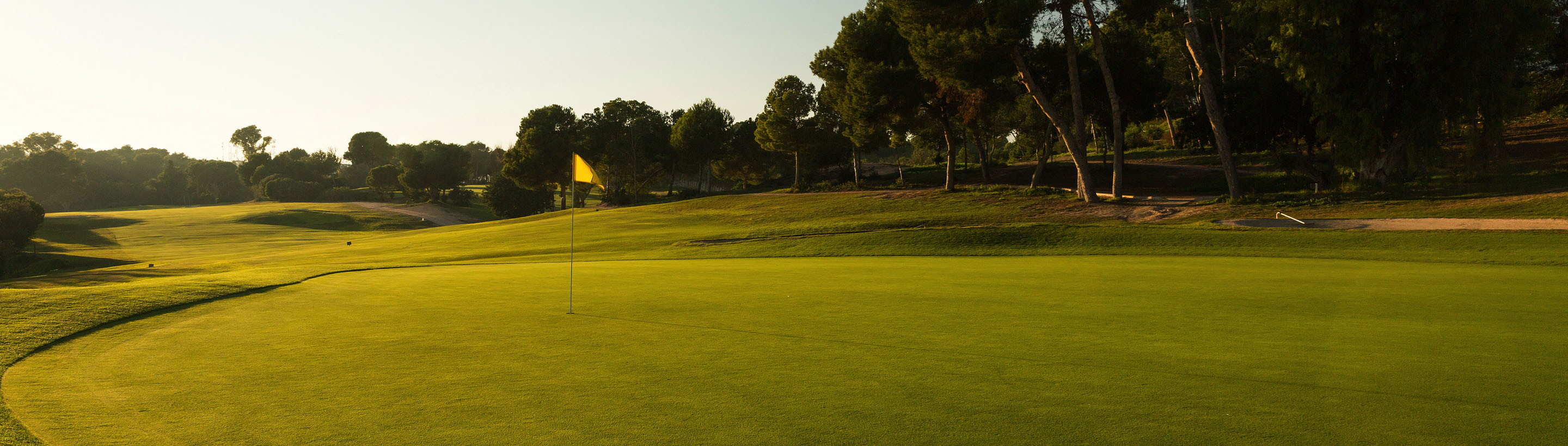 course banner